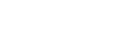 Zvir Marketing Logo